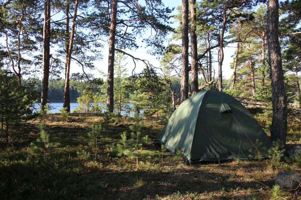 A tent pitched in a shady area surrounded by trees